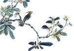 桂花树枝上的鸟水墨画