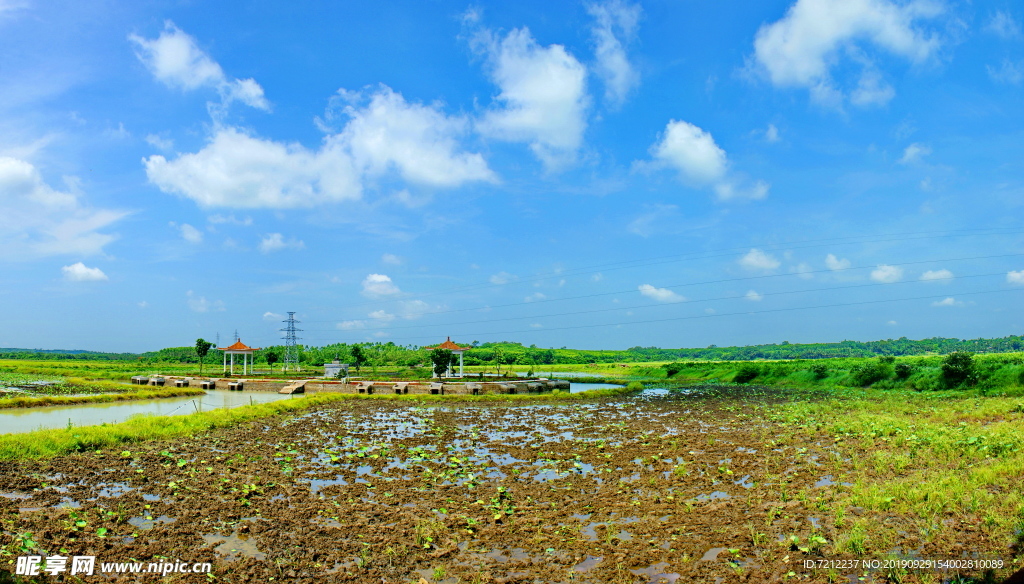 甜心村旷野