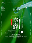 寒露