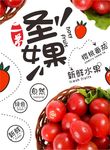 圣女果新鲜水果宣传海报