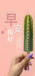 小清新早安