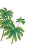 椰子树 高清椰子树 夏日椰子树