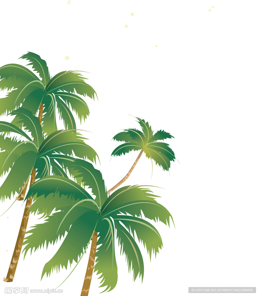 椰子树 高清椰子树 夏日椰子树