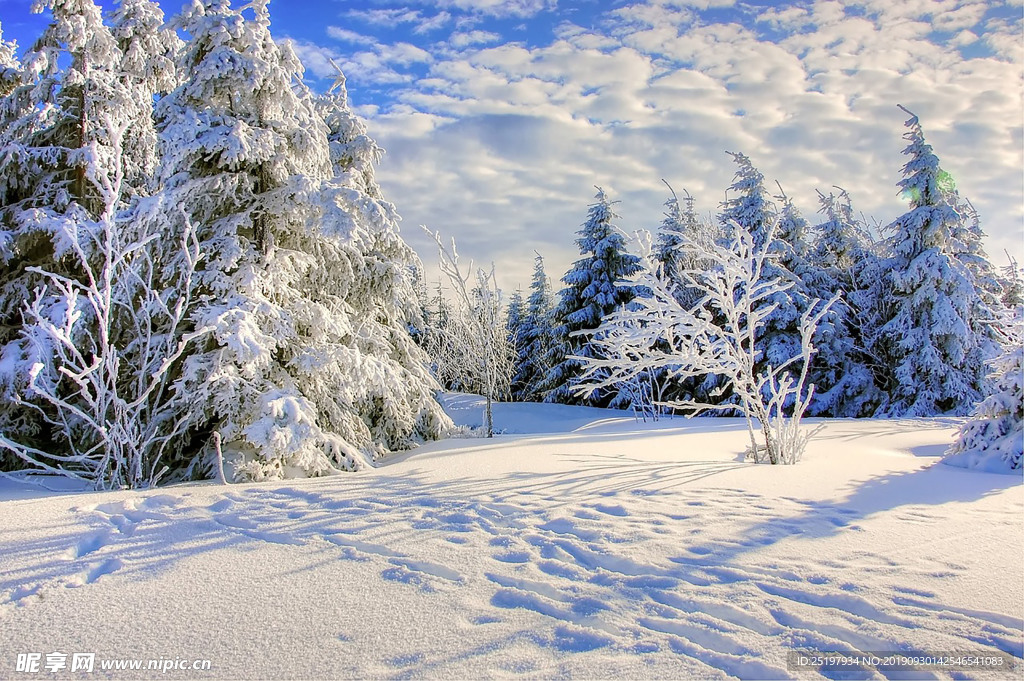 雪地