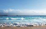大海