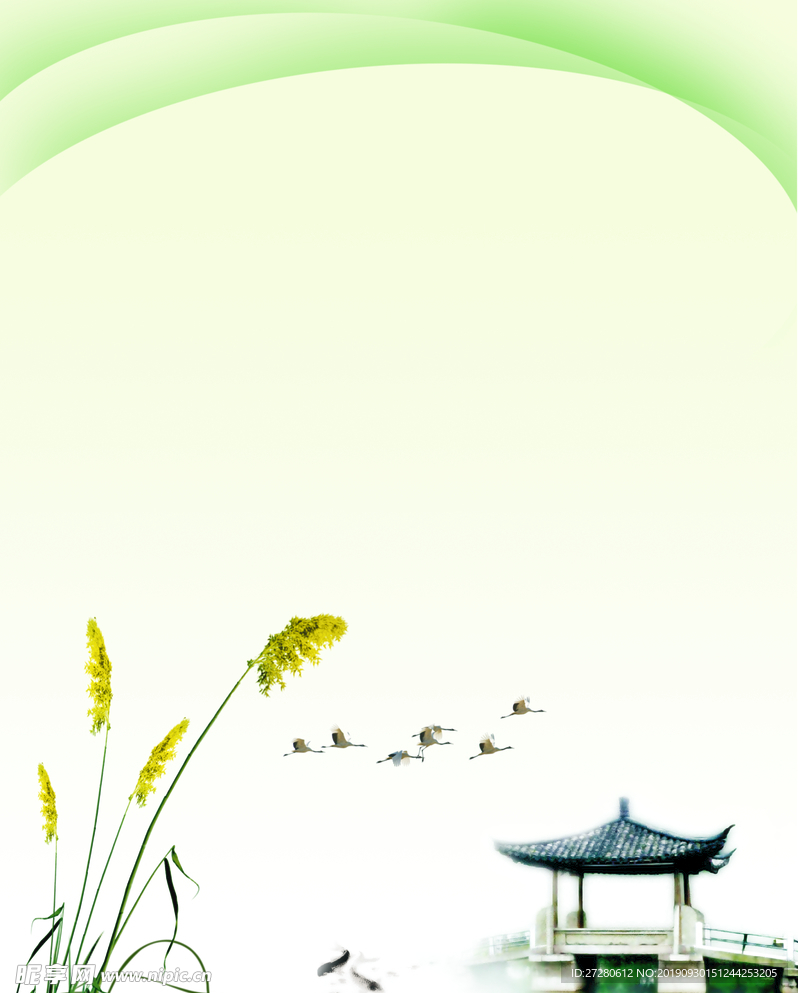 绿色背景