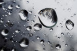 雨滴的树反射