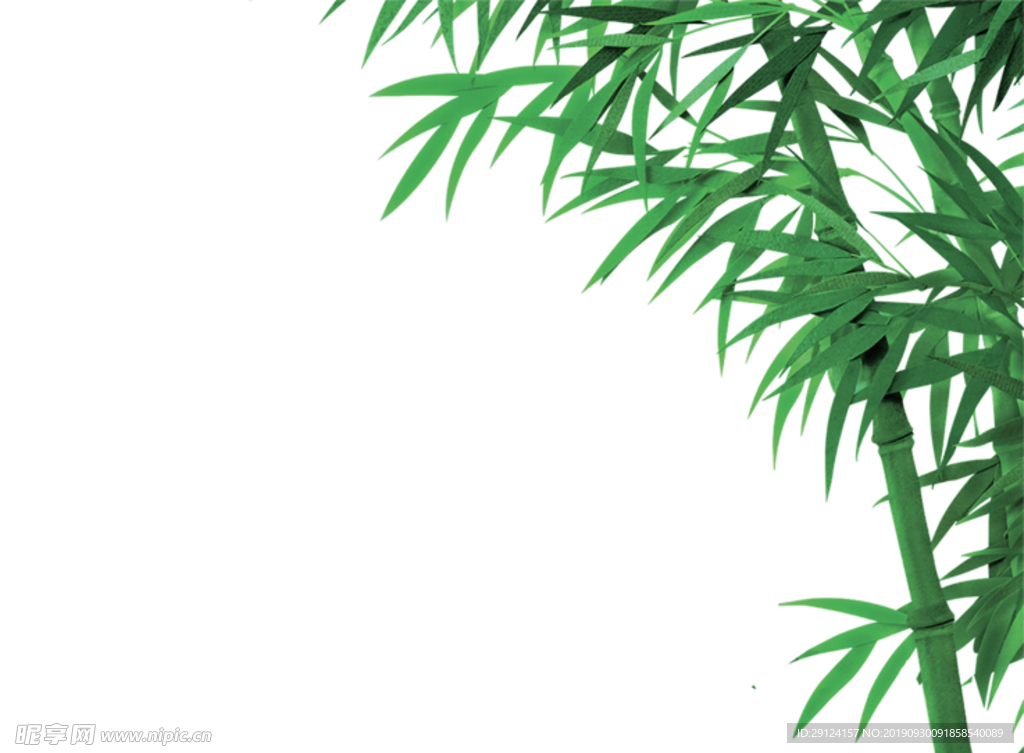 竹