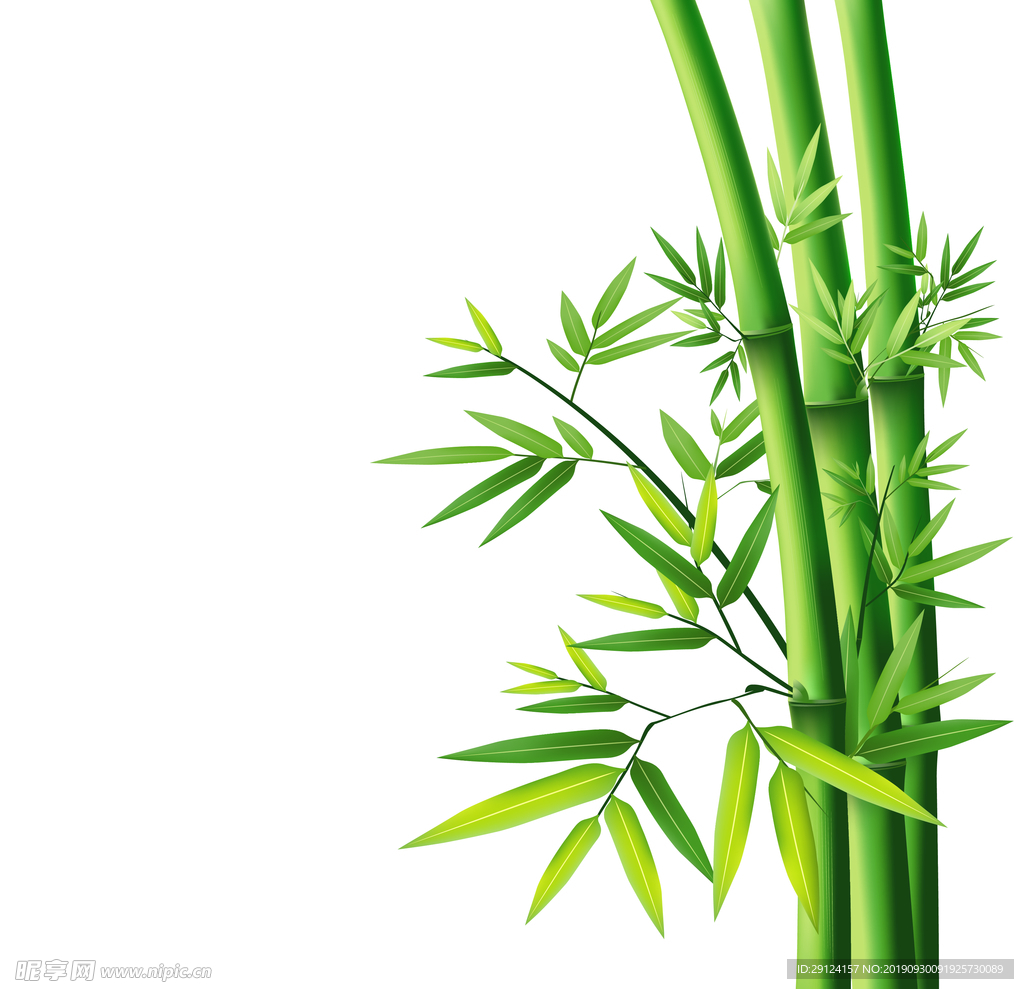 竹