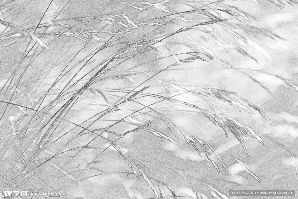 画