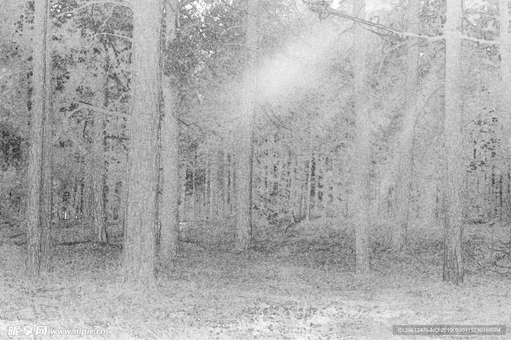 画