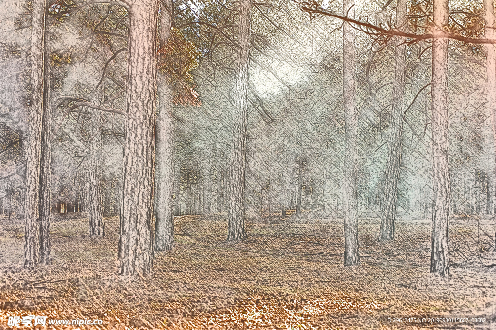 彩色铅笔画
