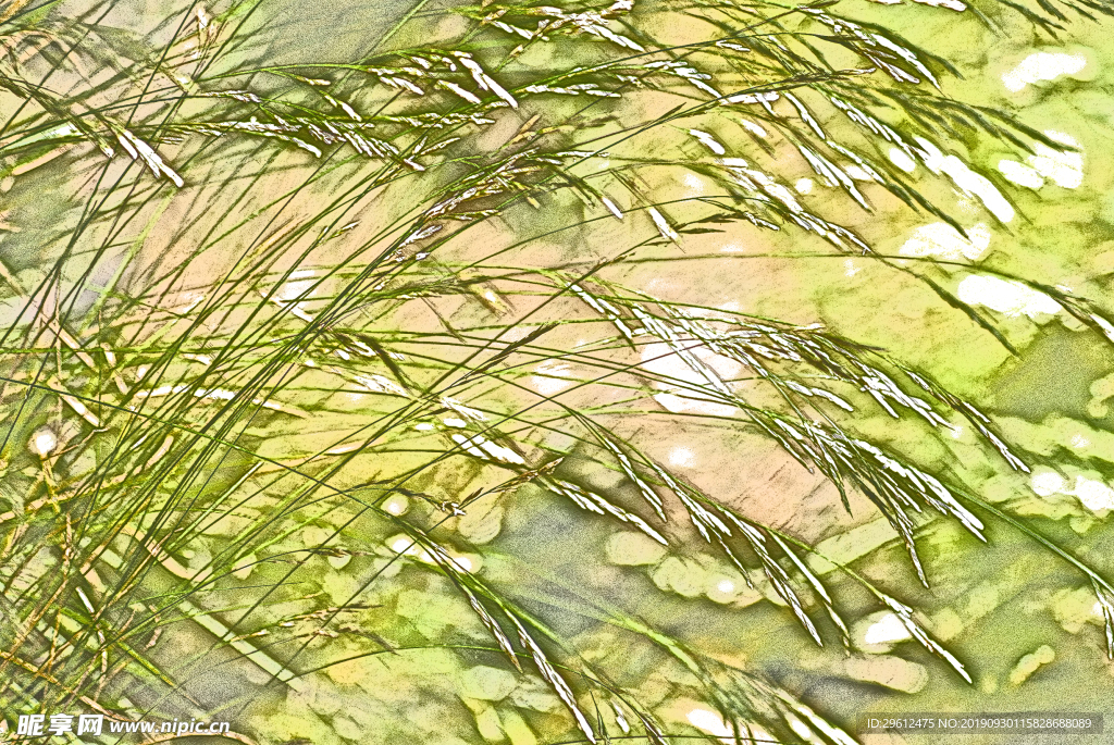 彩色铅笔画