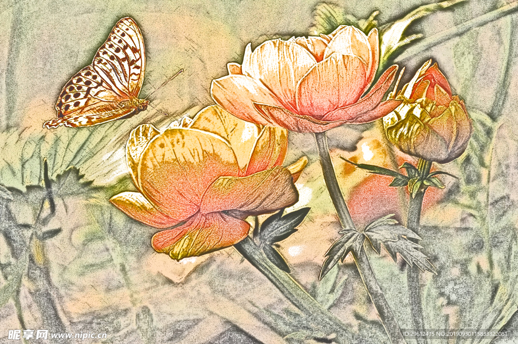 彩色铅笔画
