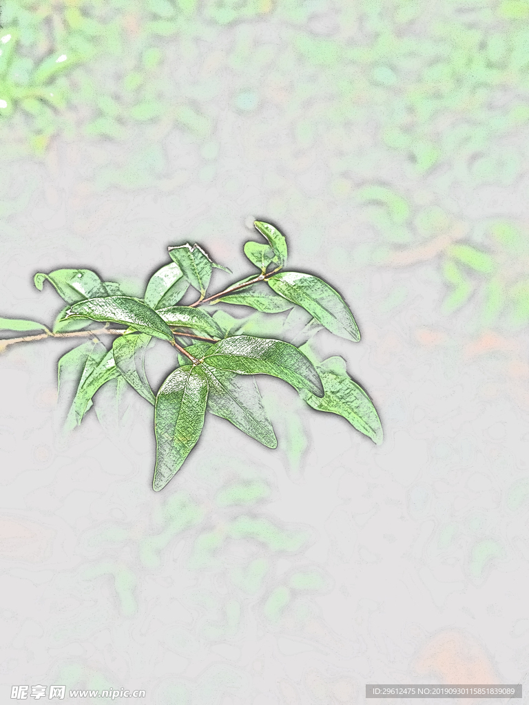 彩色铅笔画