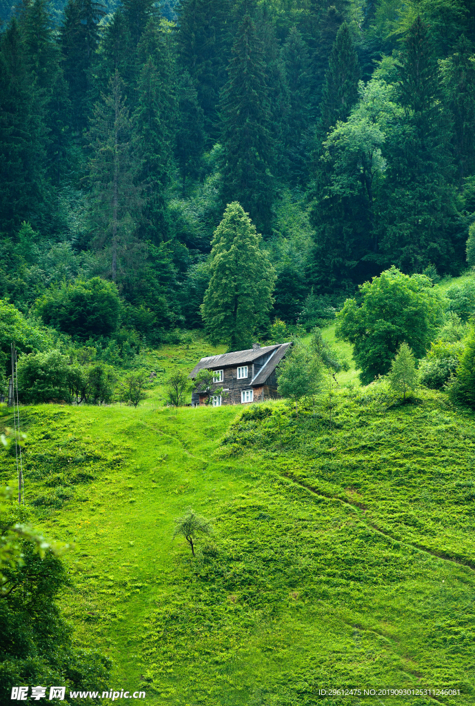 山