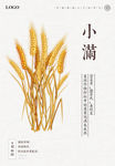节气