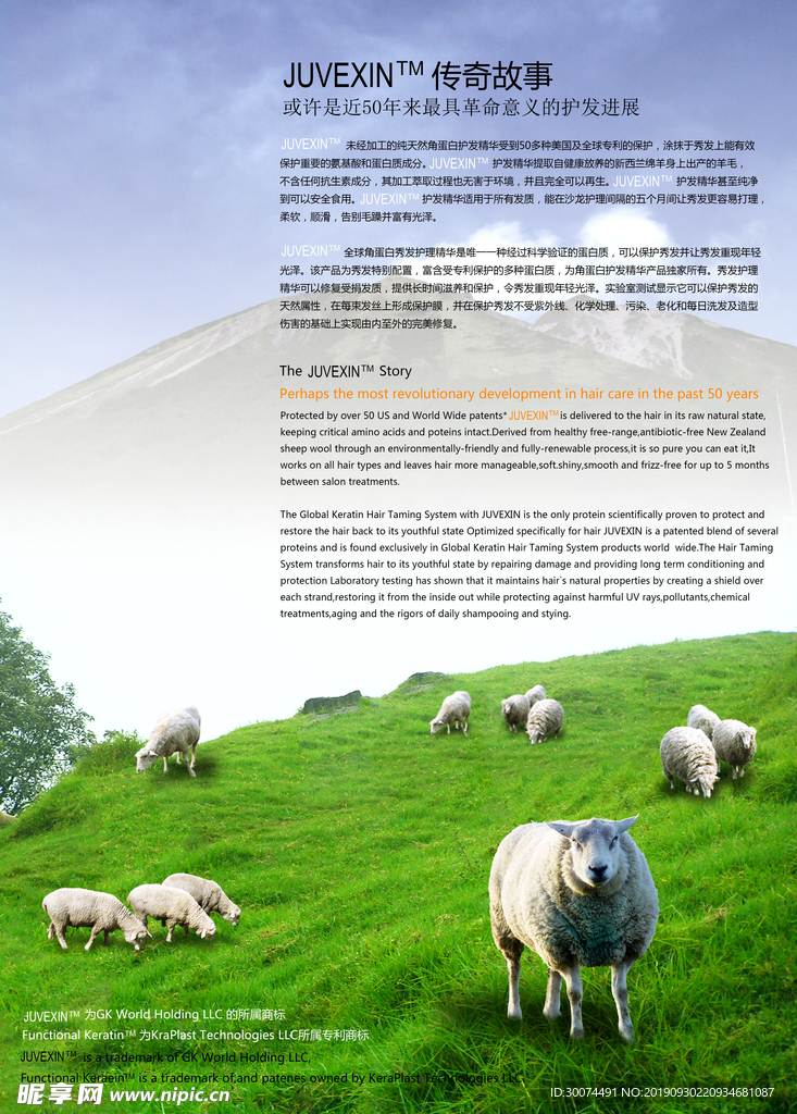 展板海报