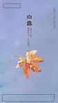 白露节气微信稿
