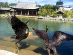 世园会