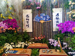 世园会
