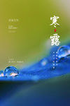 寒露