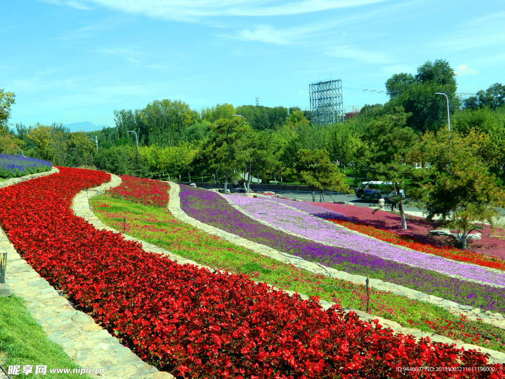 世园会花海