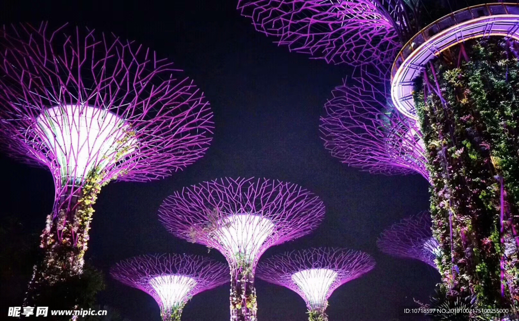 夜景烟花美景
