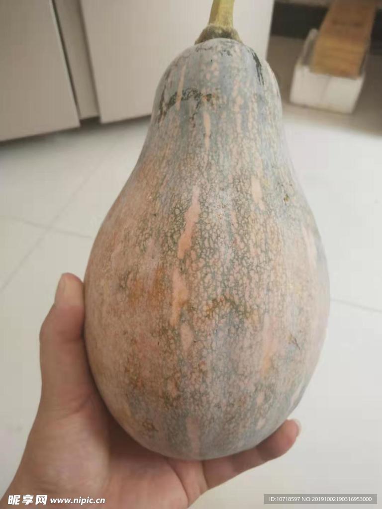 南瓜