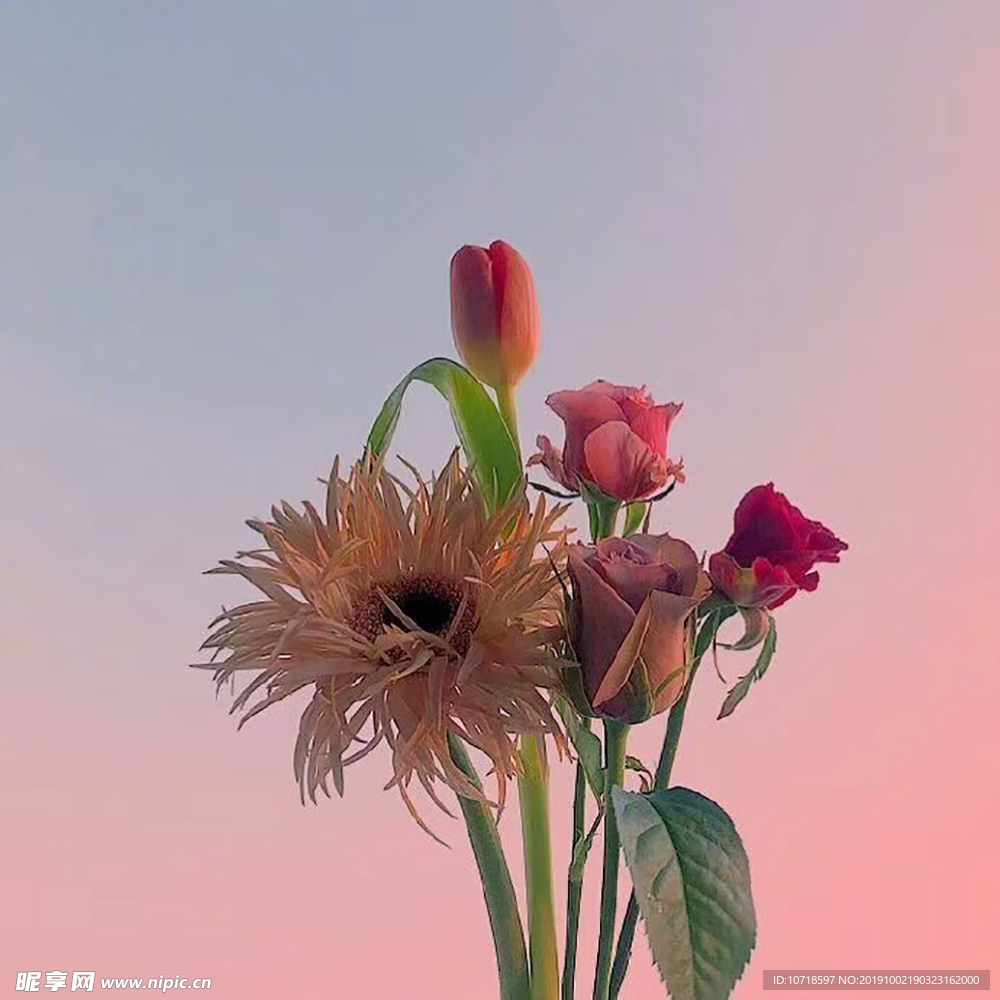鲜花