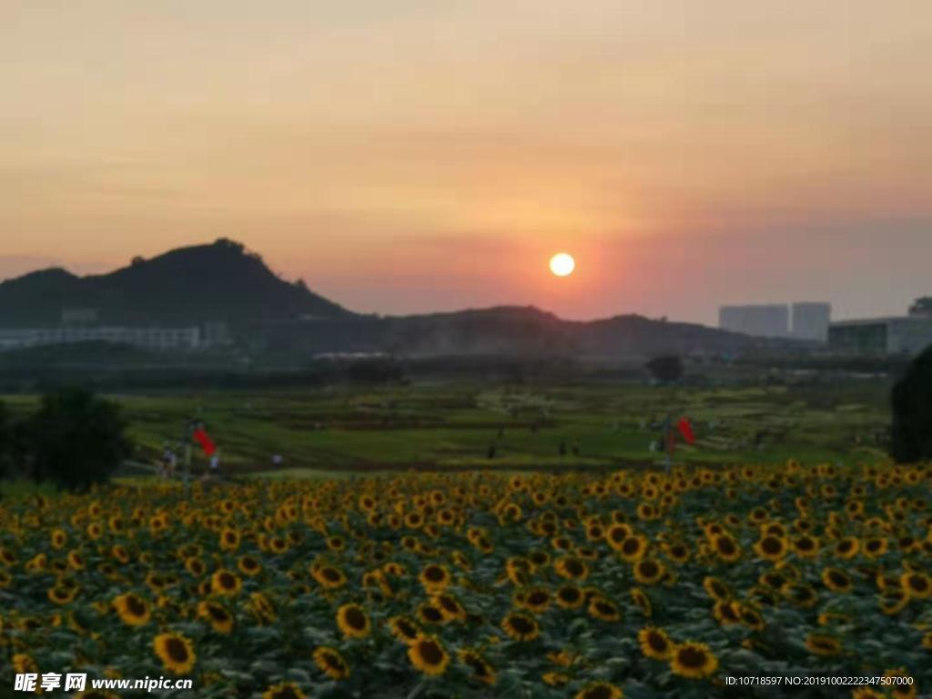 夜景烟花美景