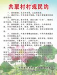 村规民约