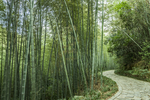 小路