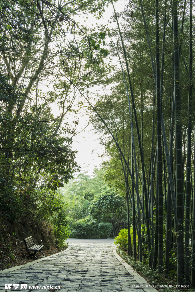 竹林小路