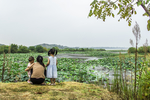 莲花池