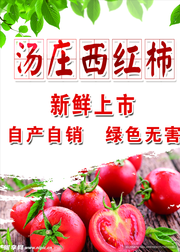 西红柿海报