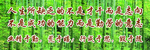 绿色励志海报