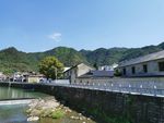 新农村