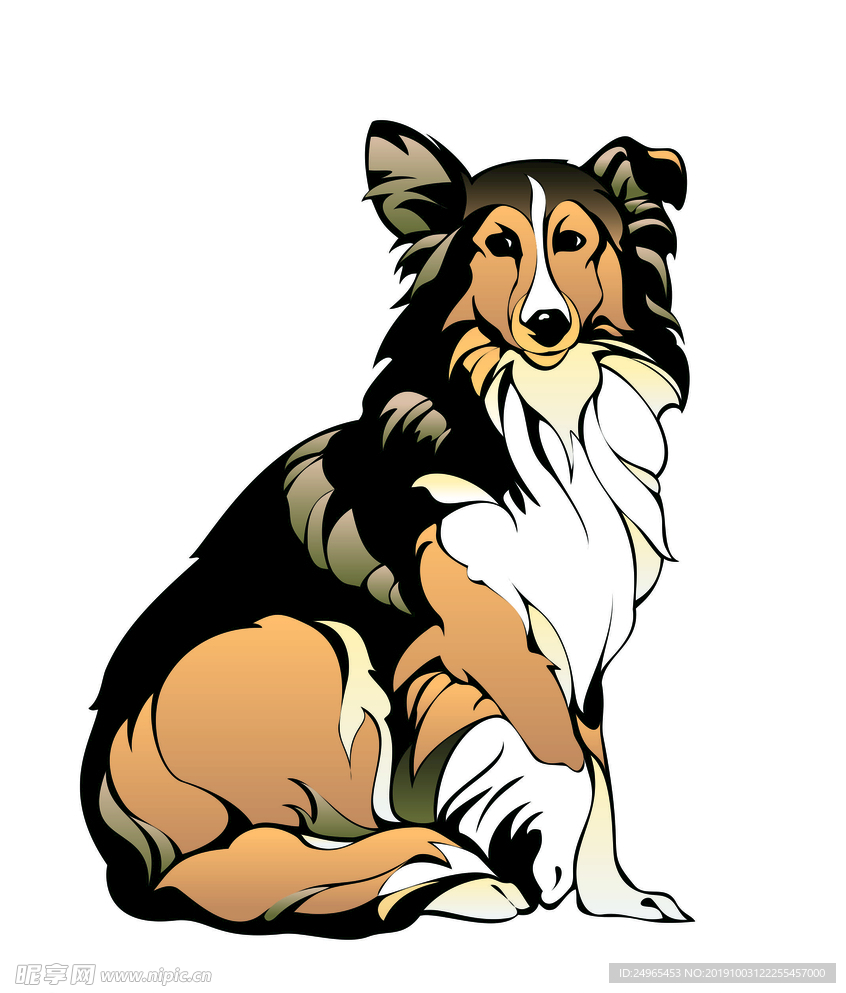 苏格兰牧羊犬