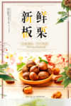 新鲜板栗