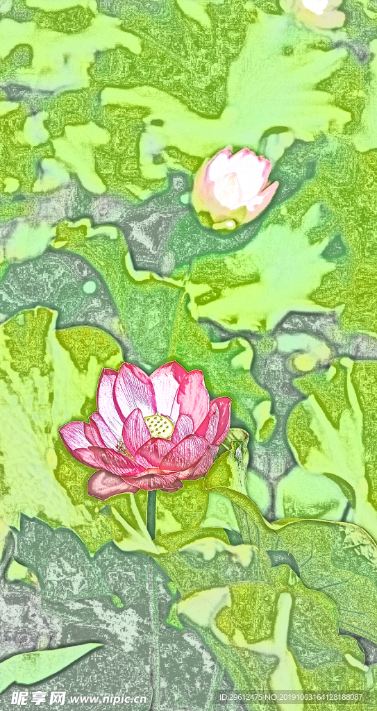 荷花