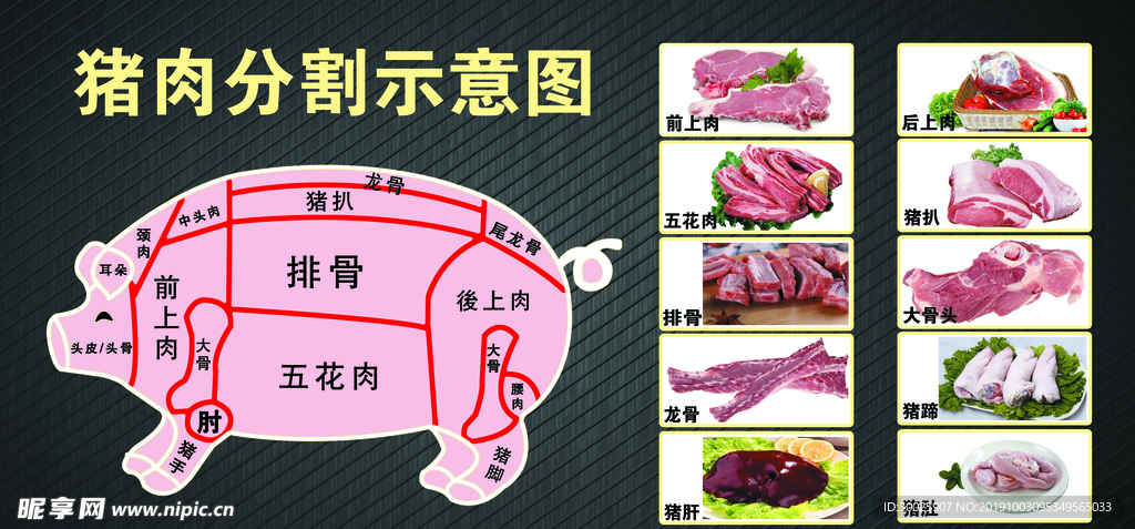 猪肉分割图 排骨素材 猪蹄素材