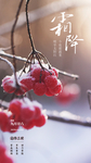 霜降节气海报