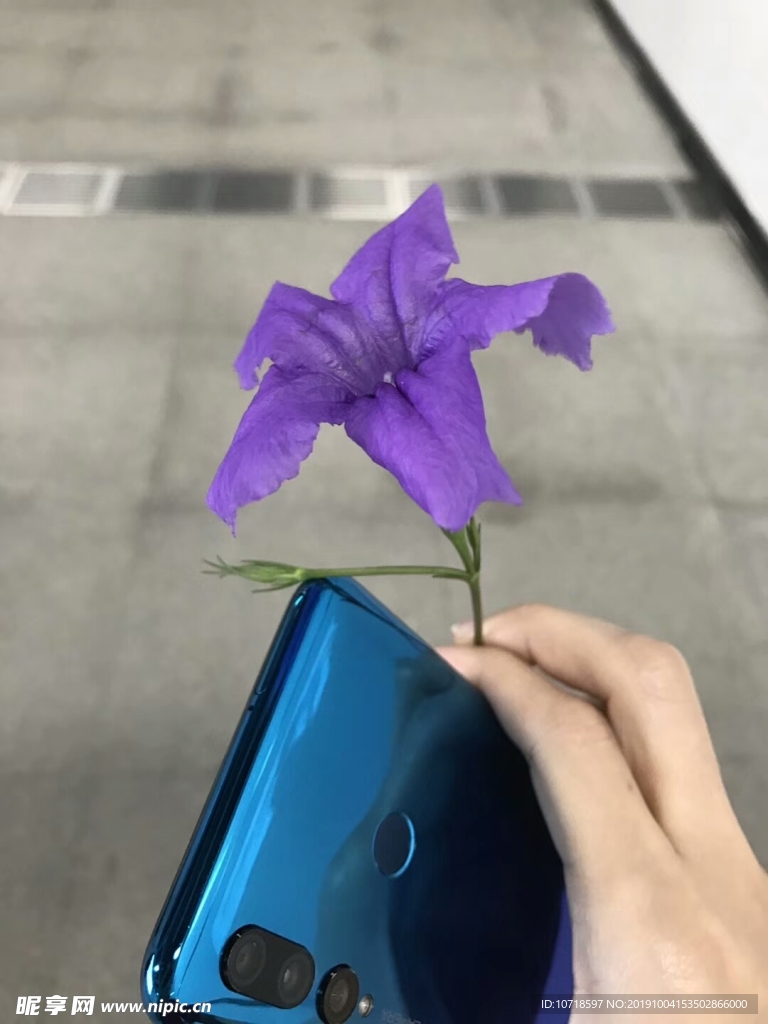 鲜花绿草