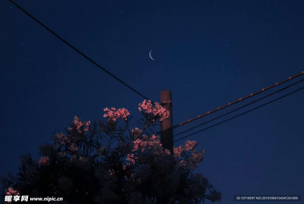鲜花绿草