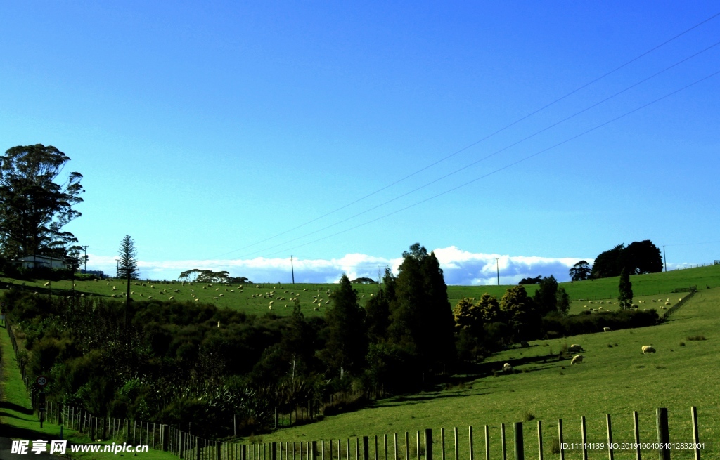 新西兰自然田园风光