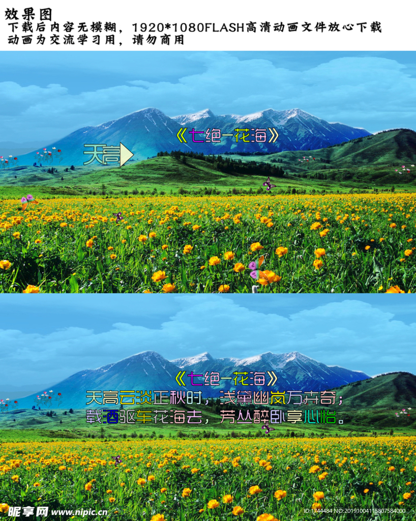 蓝天白云唯美花海flash视频
