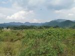 远处的山