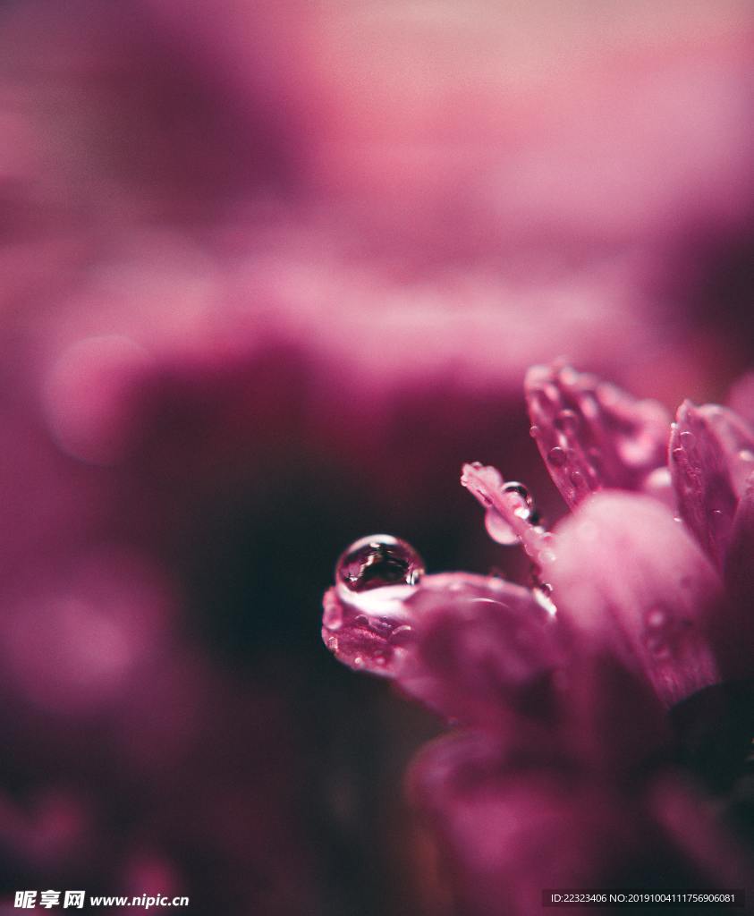 水珠