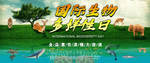 生物多样性日海报